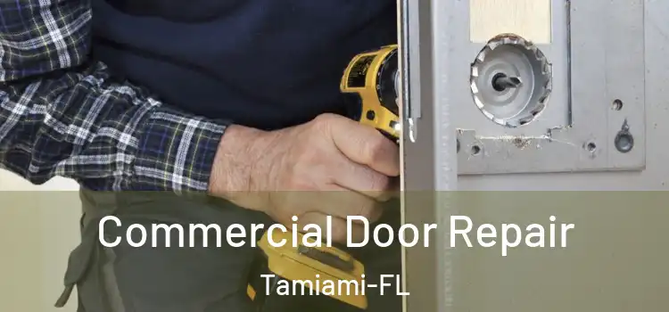 Commercial Door Repair Tamiami-FL