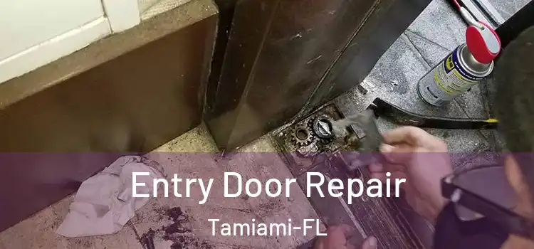 Entry Door Repair Tamiami-FL