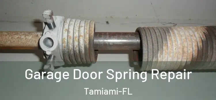 Garage Door Spring Repair Tamiami-FL