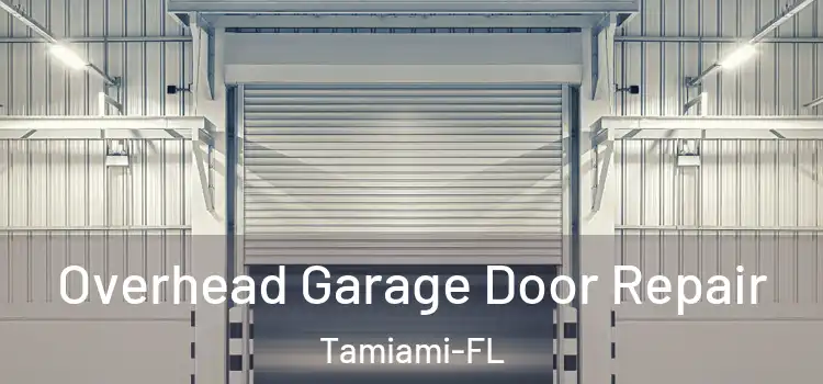 Overhead Garage Door Repair Tamiami-FL