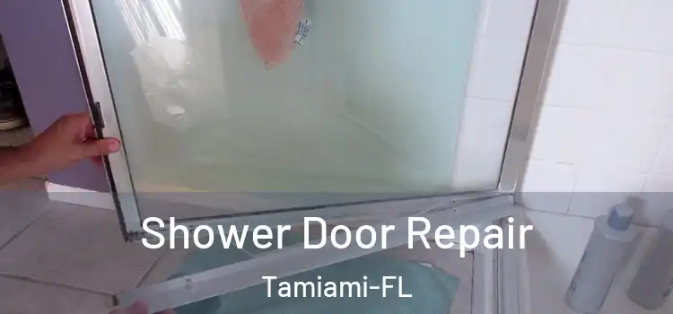 Shower Door Repair Tamiami-FL