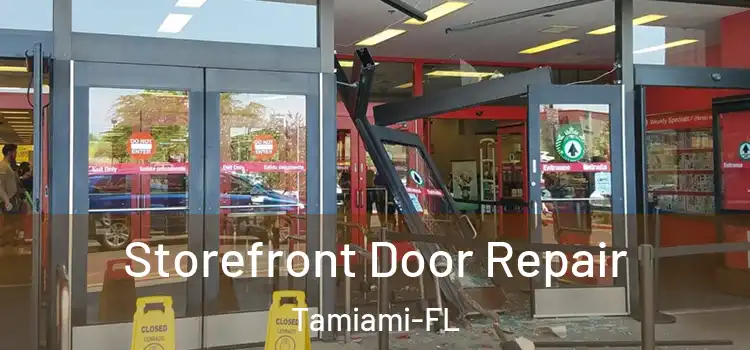 Storefront Door Repair Tamiami-FL